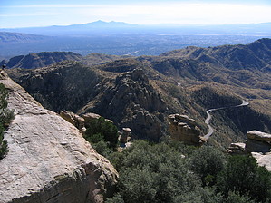 feature photo