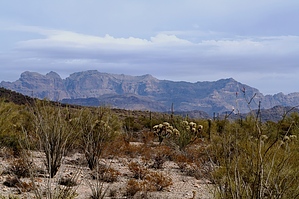 feature photo