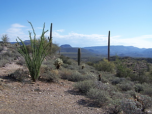 feature photo