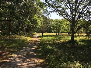 feature photo