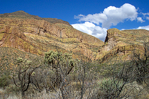 Bear Canyon Lake Arizona Lake Camping Canyon Lake Lake