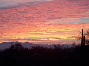 feature photo