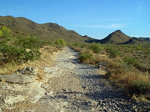 feature photo