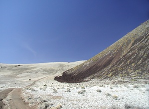 feature photo