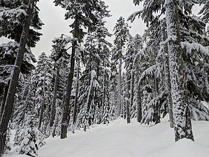 feature photo
