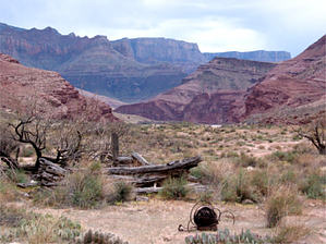 feature photo