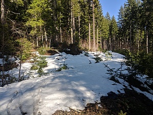 feature photo