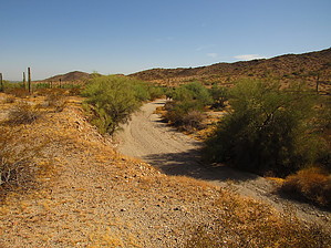 feature photo