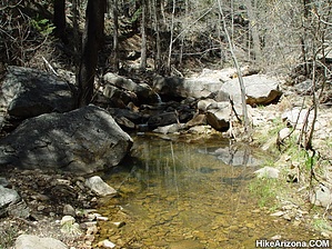 feature photo