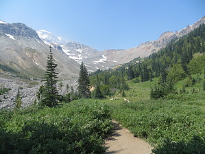 feature photo