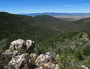 feature photo