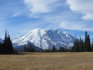 feature photo