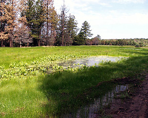 feature photo