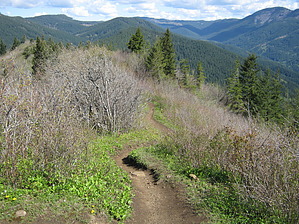 feature photo