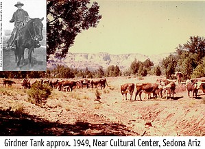 feature photo