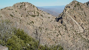 feature photo