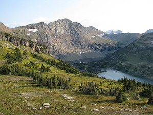 feature photo