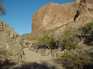 feature photo