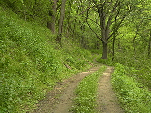 feature photo
