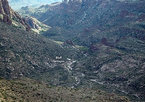 feature photo