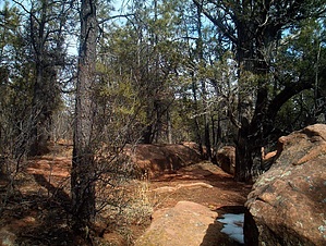 feature photo