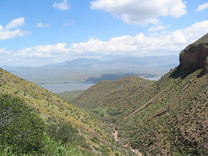 feature photo