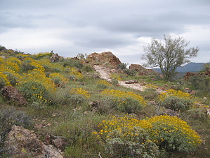 feature photo