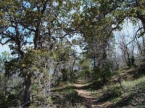 feature photo