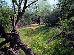 feature photo
