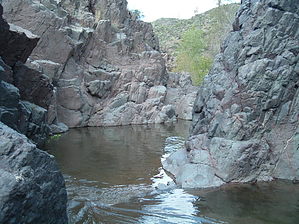 feature photo