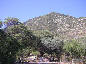 feature photo