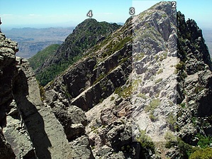 feature photo