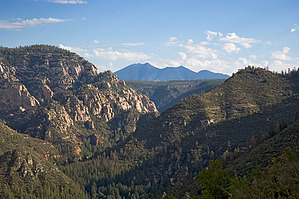 feature photo