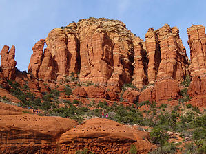 feature photo