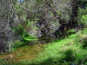 feature photo