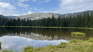 feature photo
