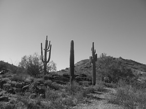 feature photo