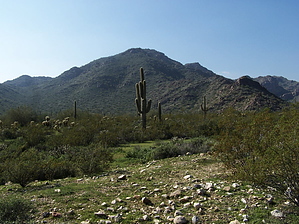 feature photo