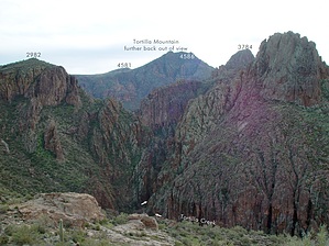 feature photo