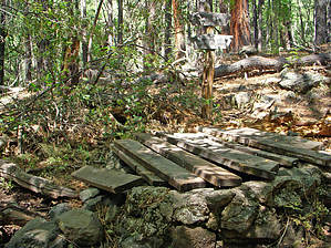 feature photo