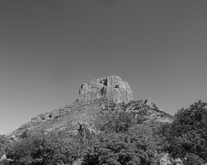 feature photo