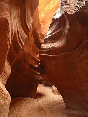 feature photo