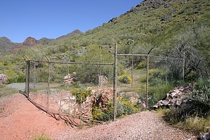 feature photo