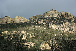 feature photo