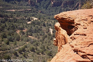 feature photo