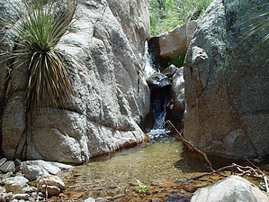 feature photo