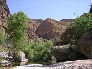 feature photo