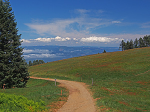 feature photo