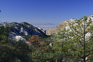 feature photo