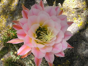 feature photo